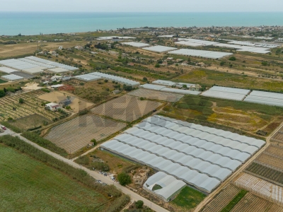 immagine annuncio 1 di 6