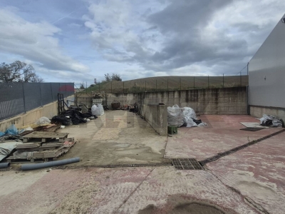 immagine annuncio 1 di 6