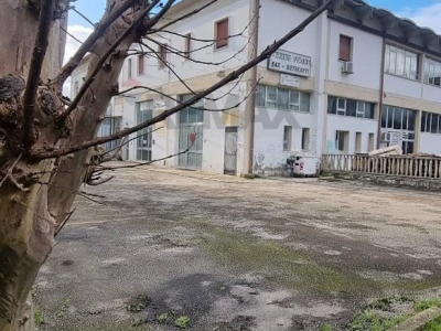 immagine annuncio 4 di 9