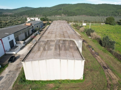 immagine annuncio 6 di 9