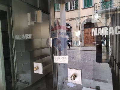 immagine annuncio 4 di 7