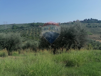 immagine annuncio 4 di 7
