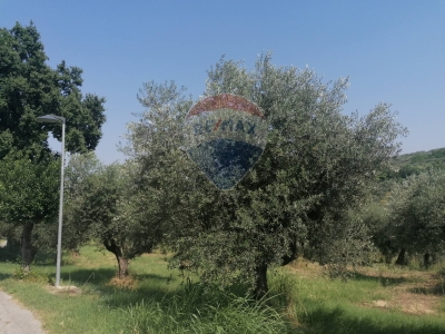 immagine annuncio 3 di 7