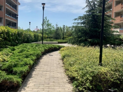 immagine annuncio 1 di 9