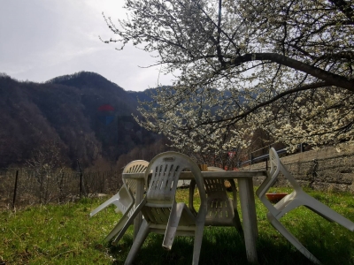 immagine annuncio 5 di 9