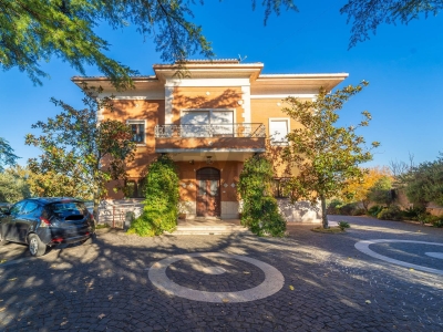 immagine annuncio 3 di 9