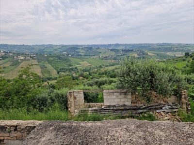 immagine annuncio 2 di 9
