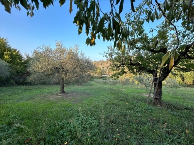 immagine annuncio 3 di 9