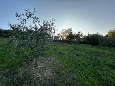 immagine annuncio 6 di 9