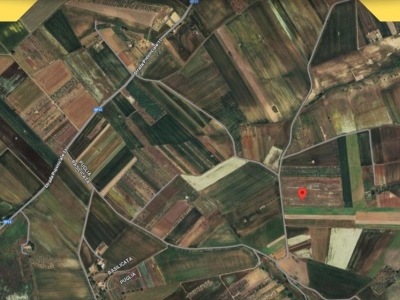 immagine annuncio 3 di 4