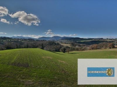 immagine annuncio 5 di 9