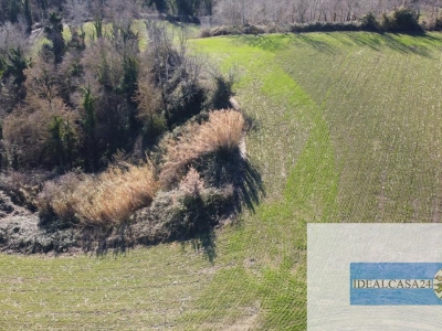 immagine annuncio 2 di 9