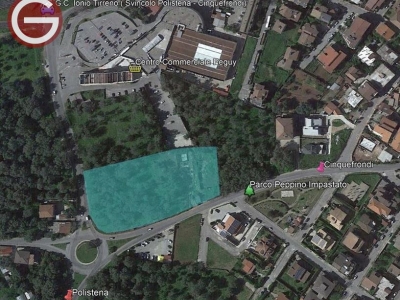 immagine annuncio 2 di 6