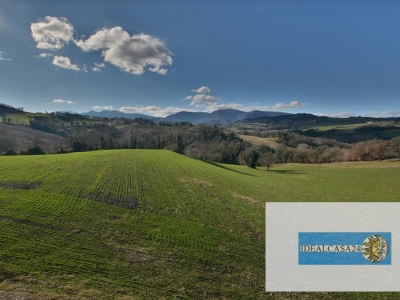 immagine annuncio 7 di 9