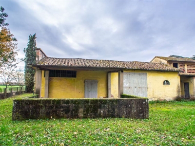 immagine annuncio 4 di 9