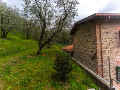 immagine annuncio 4 di 9