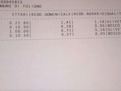 immagine annuncio 3 di 4
