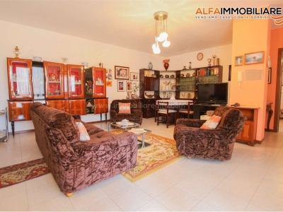 immagine annuncio 4 di 9