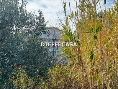 immagine annuncio 4 di 9