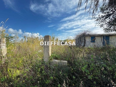immagine annuncio 3 di 9