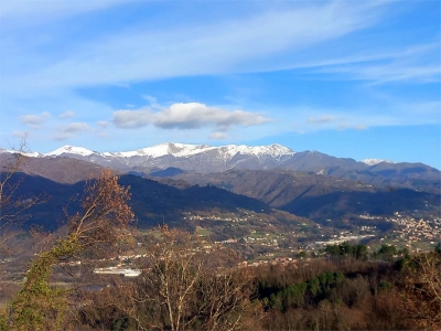 immagine annuncio 2 di 9