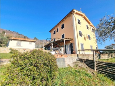 immagine annuncio 3 di 9