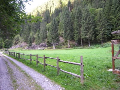 immagine annuncio 6 di 9