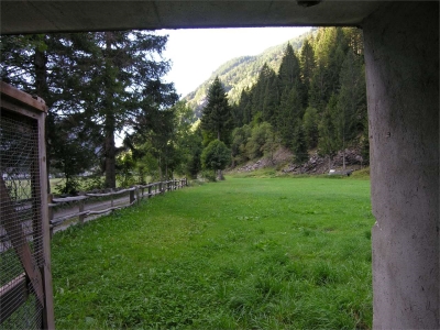 immagine annuncio 7 di 9
