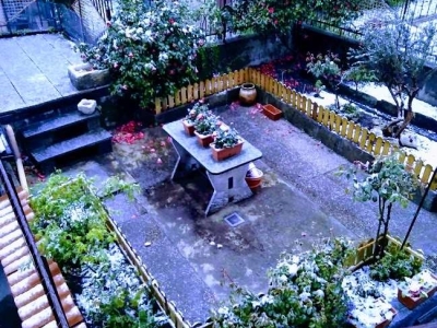 immagine annuncio 5 di 9