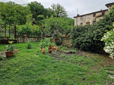 immagine annuncio 6 di 9