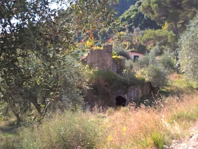 immagine annuncio 7 di 9