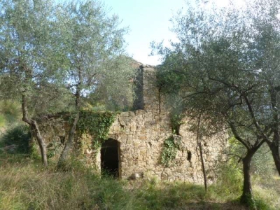 immagine annuncio 2 di 9