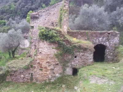 immagine annuncio 4 di 9
