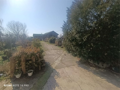 immagine annuncio 8 di 9