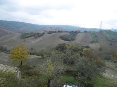 immagine annuncio 3 di 6