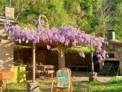 immagine annuncio 6 di 9