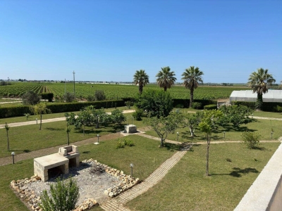 immagine annuncio 7 di 9