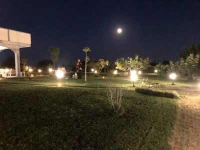 immagine annuncio 2 di 9