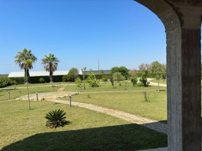 immagine annuncio 4 di 9