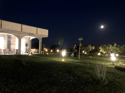 immagine annuncio 1 di 9