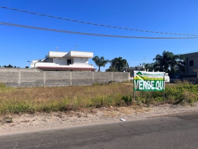 immagine annuncio 2 di 4