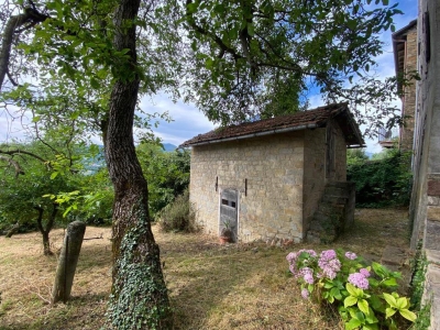 immagine annuncio 4 di 9