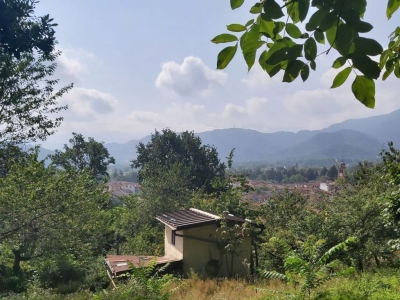 immagine annuncio 3 di 9