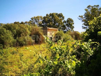 immagine annuncio 4 di 9
