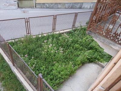 immagine annuncio 7 di 9