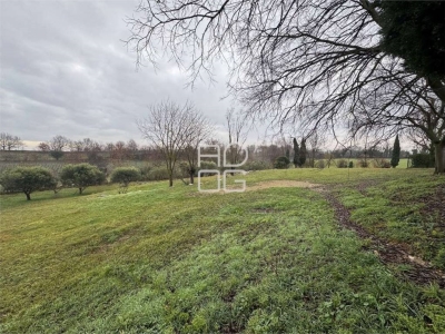 immagine annuncio 4 di 8