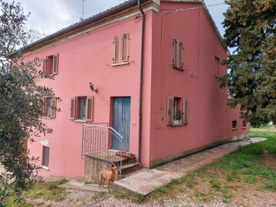 immagine annuncio 2 di 9