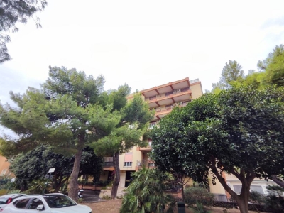 immagine annuncio 1 di 9
