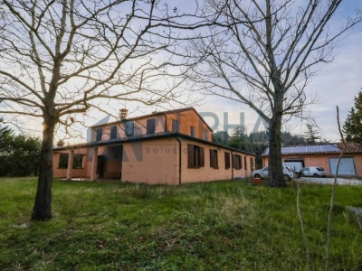 immagine annuncio 4 di 9