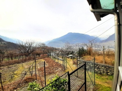 immagine annuncio 3 di 9